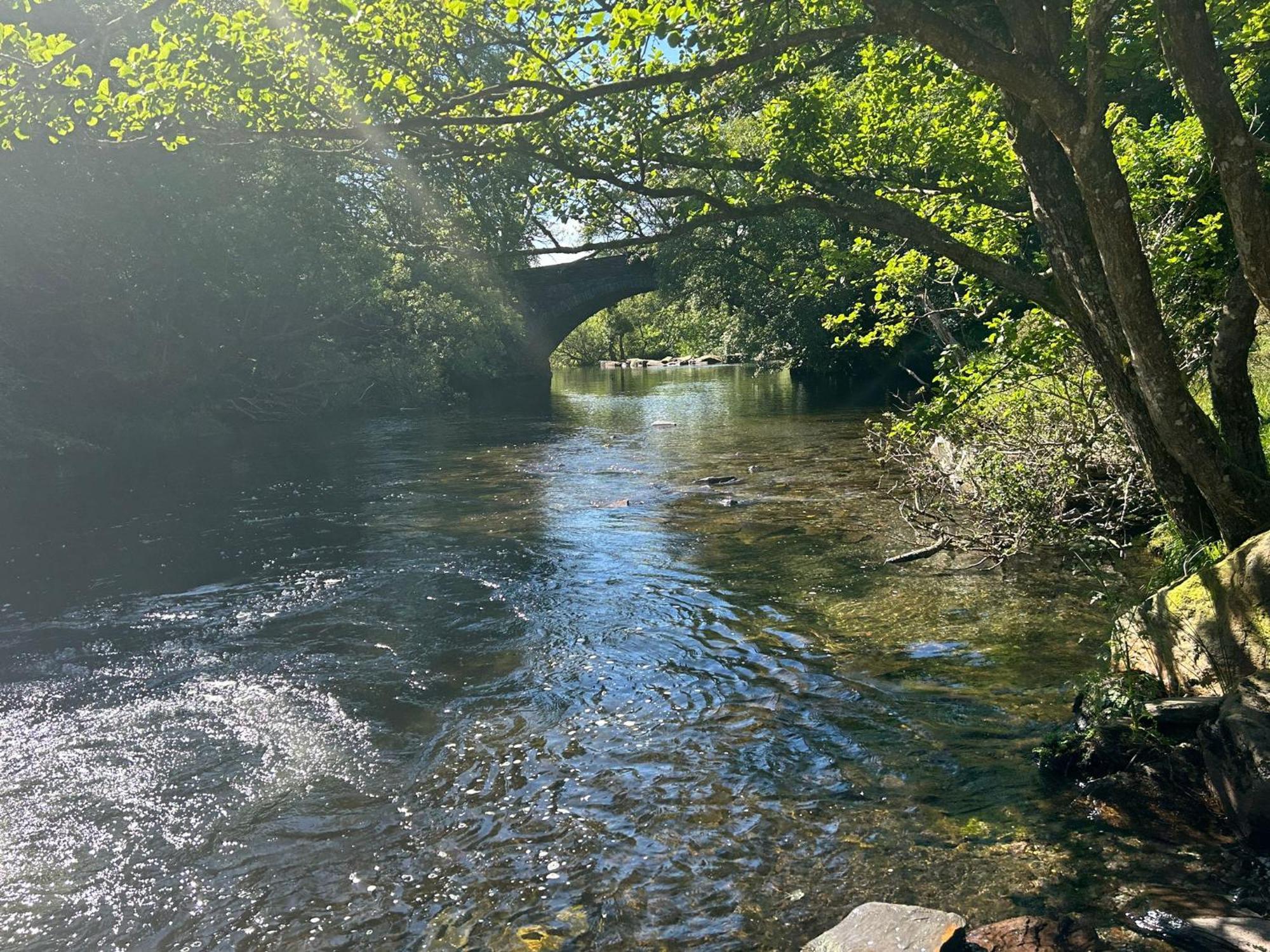The Cottage - Snowdonia, North Wales Бетесда Екстер'єр фото
